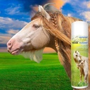 the-blissful-horses-summer-care-sun-butt-2.jpg
