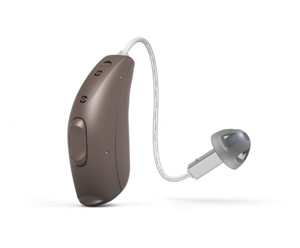 hearing-aid-domes-smoky-gray-tips-ear-pi-2.jpg