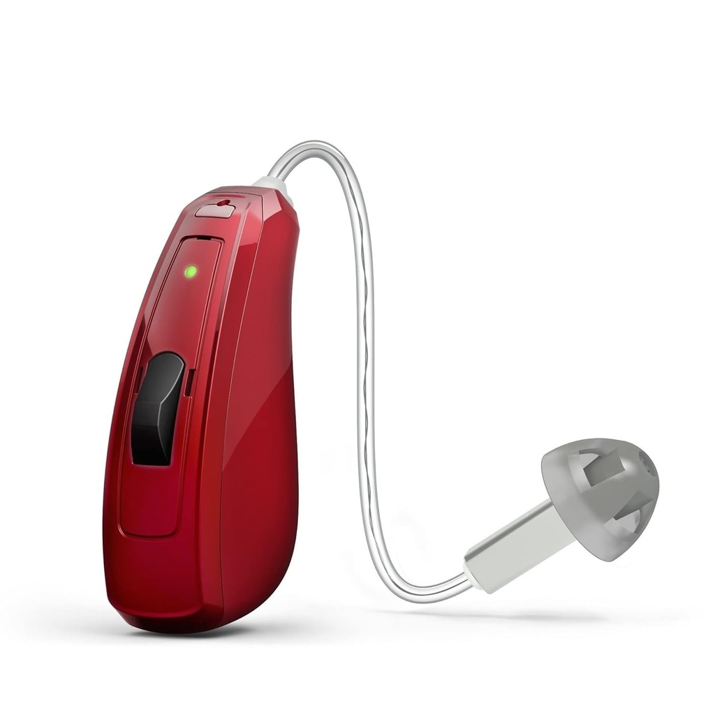 hearing-aid-domes-smoky-gray-tips-ear-pi-3.jpg