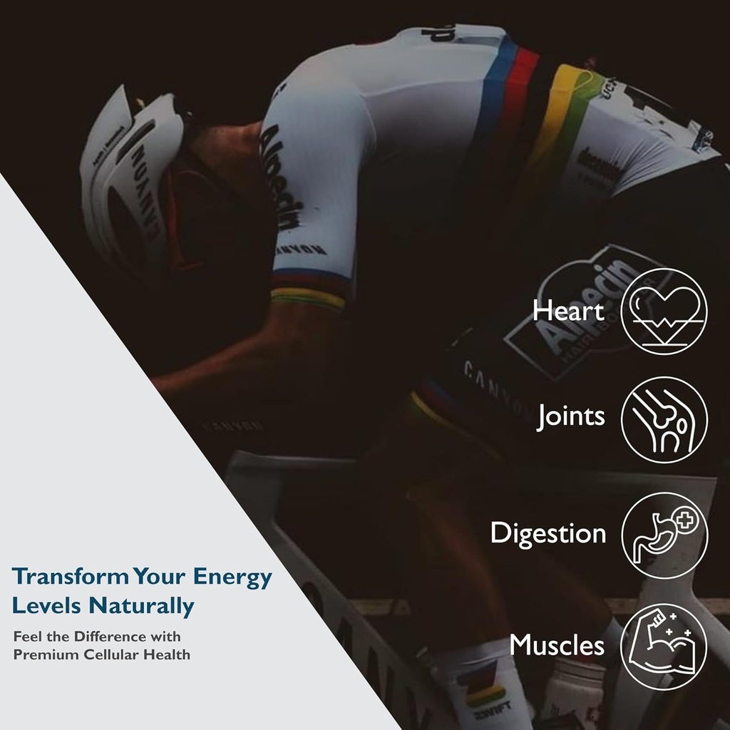urolithin-a-supplement-500mg---60-softge-3.jpg