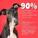 pet-health-solutions-es-liquid-for-dogs--4.jpg