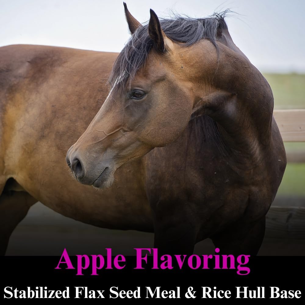 su-per-b-12-energy-horse-supplement---eq-3.jpg