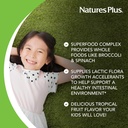 naturesplus-animal-parade-kidgreenz-trop-4.jpg