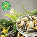 swanson-pueraria-mirifica-with-b6-b12----4.jpg