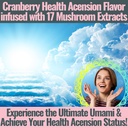shizam-17-mushroom-complex-gummies-for-a-5.jpg