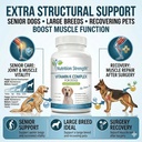 vitamin-k-for-dogs-k1-k2-mk4-mk7-vitamin-3.jpg
