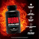 sculpt-nation-by-v-shred-burn-thermogeni-2.jpg