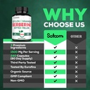 satoomi-berberine-1500mg-supplement-with-3.jpg