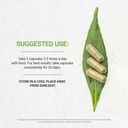 secrets-of-the-tribe-cacao-120-capsules--3.jpg