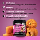 multivitamin-for-dogs-dental-powder-virt-4.jpg