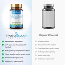 gut-detox-liver-cleanse-organic-activate-2.jpg