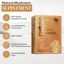 vita-green-lingzhi-mushroom-supplement-p-4.jpg
