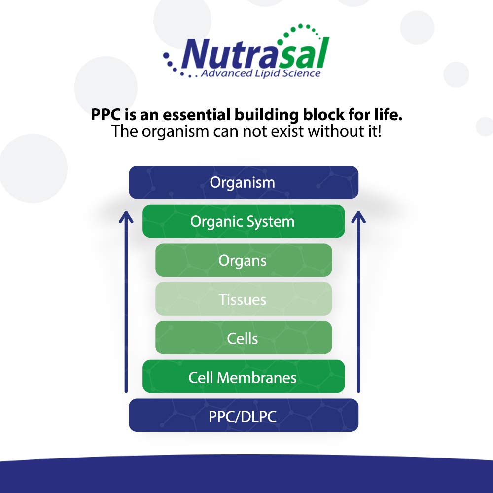 nutrasal-phoschol-600mg-120-gel-capsules-4.jpg