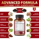 zolotus-2-packs-90-capsules-lions-mane-m-4.jpg
