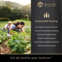 bodi-devil-claw-root-powder-4oz-to-5lb-1-5.jpg