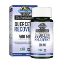 生活花园 Quercetin 工作后回收 锌、 涡轮和绿茶 – Dr 公式化 – 健康炎症反应和联合支持 – Gluten Free and Non GMO – 30 片