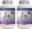 猫的坏呼吸治疗 - CAT 牙齿健康 - 高级口腔健康综合体 - Immune Boost - 猫的维生素b12 - 2瓶(120片)