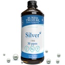 埋藏的宝藏纯银液体 30 PPM - 16 oz. 96 服务品,非累积性纳米银溶液,喷洒和饮食杂感补充品