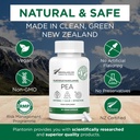 Palmitoyl乙醇酰胺 Pea 补充600mg - 微量化 Pea 补充 99% - 2个月供应 - 联合安慰的高级自然支持