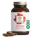 PURE SYNERGY Vita – MIN – 男子综合多维生素补充剂 – 有机全食非GMO成份 – 每日能源和免疫支持(120块)