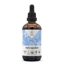 Astragalus USDA 有机无酒精提取 QQ 饮食补充,高剂量丁香 QQ 天然认证 有机阿斯特拉加卢斯(Astragalus membranaceus) 干根(4 oz)