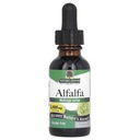 自然解答无酒精 Alfalfa Herb 提取器 1-Fluid Ounce 支持免疫系统 血液 文摘 能量水平 - 帮助解毒