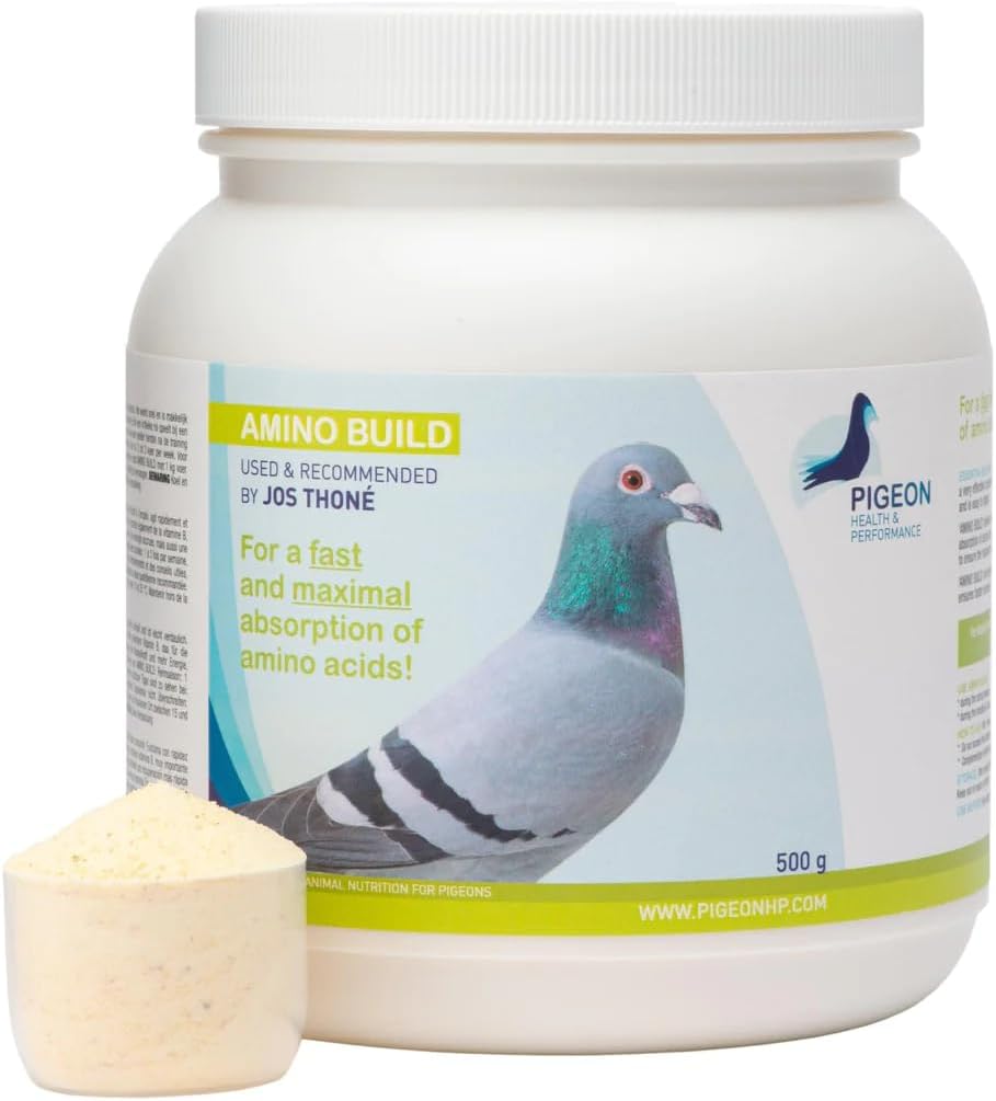 通用 PHP 氨基建材 500g - 肌肉建材氨基酸 Pigeon 健康与性能