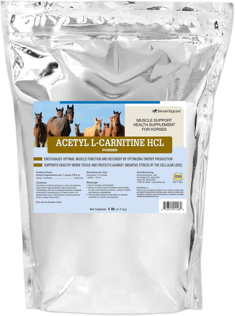 乙酰L-Carnitine HCL Powder |马能量补充与肌肉补充  Supporting马支持肌肉功能 & More | 抗氧化剂-Rich纯度公式 | 1 lb Bag