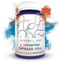 诺特罗匹克(Nootropoctics) BaCognize Bacopa Monnieri 300mg Capsules (120 Counter) Ayurvedic Herb Non-GMO, Gluten Free, 和蔬菜友好组织