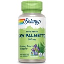 SOLARAY Saw Palmetto Berry 580 mg, 健康前列腺和尿道收缩支持,来自肥酸和植物 Sterols for Men and Women, Non-GMO, Vegan & Lab 校验, 100 Veg Caps, 100 services