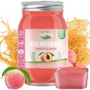 ACEYO(18 OZ) 爱尔兰海 Moss Gel 有机 Raw Vegan Peach Flavor 102 维生素和矿物野生收获 非GMO Immune Defense Booster 甲状腺素消化支持