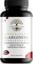 用于Stamina、肌肉、宽度和能源的附加力量 L Arginine 补编