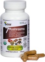 Sayan 7 蘑菇提取 90 Capsules/440mg ea – 免疫支持与能源 – 有机查加,Reishi,Lion's Mane,Maitake,Shiitake, Turkey Tail Adapolo Blend – Vegan, Non-GMO,无充料或添加剂