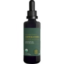 全球疗养中心 - 有机Ashwagandha 补充剂(滴水) - KSM-66 Ashwagandha Extra Power for Men and Women, 帮助促进缓解压力, Mood支持, 有机(2 Fl Oz)