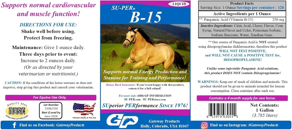 超级PER B-15 马肉维生素补充剂 - Equine Vitamin B-15 性能支持液 - 支持正常心血管免疫和肌肉功能 - 1 Gallon + Pump, 4个月供应量