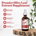 Rejuvica Active Olive Leaf Extract – 天然的Oleuropein液滴用于Immune和心脏支持 – 快速吸附,Vegan,无酒精 → 6 fl oz