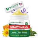OWELL Naturals 绘图盐膏,用于Boil & Cyst清除,深原毛发,Splinter清除器,Bug蜘蛛贝,Bee Sting,蚊子痒,毒艾薇