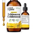 野生和有机Echinacea金色液体滴 - Immune支持补充w/Goldenseal Echinacea根提取 - Vegan,糖和无酒精丁基 - 2 fl oz