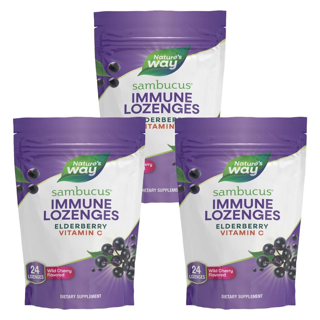 自然之道(Sambucus Imune Lozenges),高发性维生素C,长老莓,野樱桃火焰,24 Lozenges(包装5月Vary) - 3包