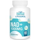 Liposomal NAD+ Supplement 1000 mg → 最高 NAD Pontecy → 最大吸收 → 纯 NAD Supplement → 能源和DNA修复,老化防御,大脑功能 → 60软胶
