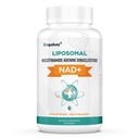 Orgabay Liposomal NAD+ 阿尔加巴伊·利波索马尔 补充500 mg,高吸收,带TMG 250 mg的诱导NAD+,实际NAD+更有效率的Than Nicotinamide Riboside,支持细胞能量,健康衰老 QQ 60软胶