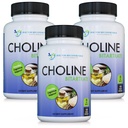 DOCTOR 建议的添加剂 预选Choline - 500 mg - 120 维吉盖 支持认知健康,记忆和更多 - 3 包