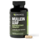 Mullein Leaf Capsules促进呼吸卫生 -- -- 5 000 mg 摘录 10:1 肺支持和免疫功能 -- -- 90 Counter -- -- Vegan, Non-GMO Capsules -- -- 每日健康补充草药 -- -- 3个月供应