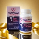 H-HOLYMA WLM AAAAA Lysozyme, 炎症支持, 免疫促进器, 消化健康增强器