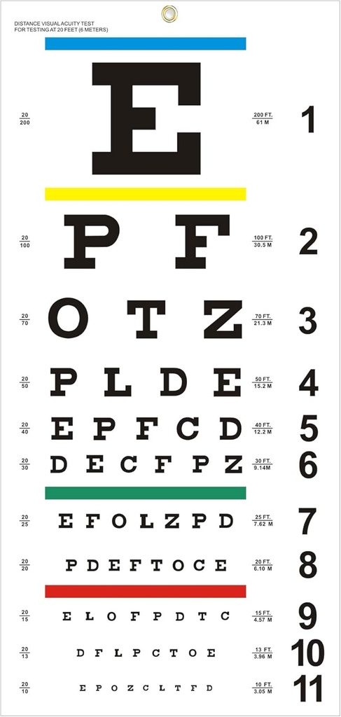 Eye Chart, 升级的Snellen Eye Chart for Eye Exams 20 Feet, 22x11 Inches Plastic Low Vision Eye Charts 壁图, 配有 Metal Eyelet for Kids Gifts Wall 装饰( 20 Feet Test district)