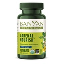 Banyan植物学 肾上腺素 Nourish – 有机适配体补充物 – 肾上腺支持自然能源 有机 Ashwagandha, Gokshura & Guduchi * – 90 片 – 非GMO,可持续来源, Vegan