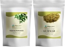 HERBAL HILLS NEEM Leaf 粉末和Gurmar 粉末 Gymnema Sylvestre 2 Combo包装