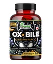 Humming Herbs Ox Bile with Digestive Enzymes & Pre/Probiots 90 Veg Caps Cholic Acid, Inulin, Betaine HCl, Peppermint, Bromelain 健康消化和营养吸收 - Bile Salts 补充