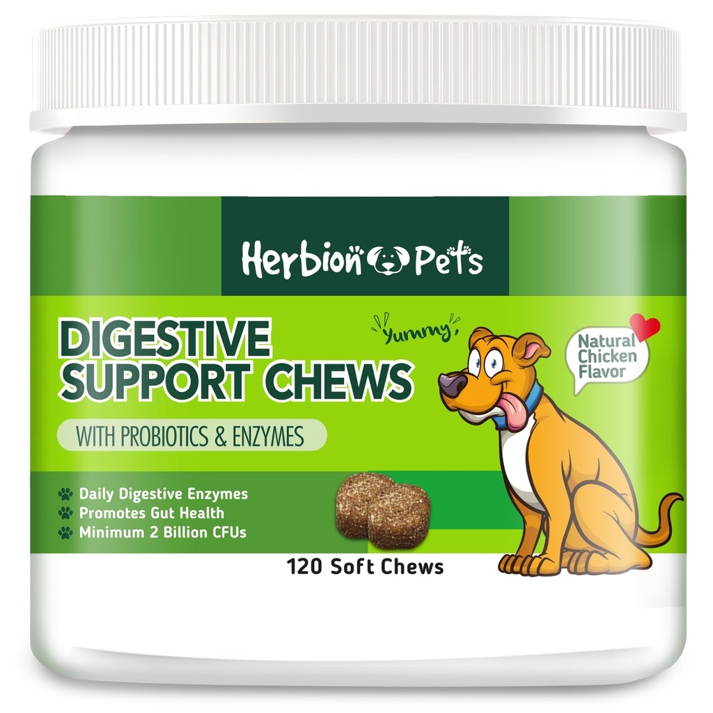 草皮消化剂支持配有Probiotics & Enzymes的Chews,120 Soft Chews,配有每日消化剂酶,用于改善古特健康,最低2亿CFUs,美国为狗制作的12周+,第1包