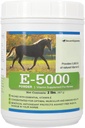 E5000 Powder → 马用维生素 E → 抗氧化剂支持 马用维生素 E 补充 → 专注于最佳肌肉与健康支持 → 2 lb